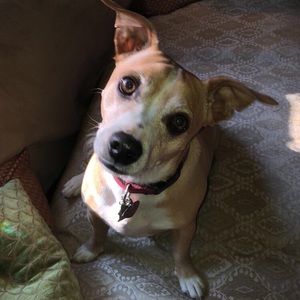 Meet your Posher, Patricia